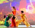 The Seldoms Dance Performance: An evening of dance inspired by the earth Sale