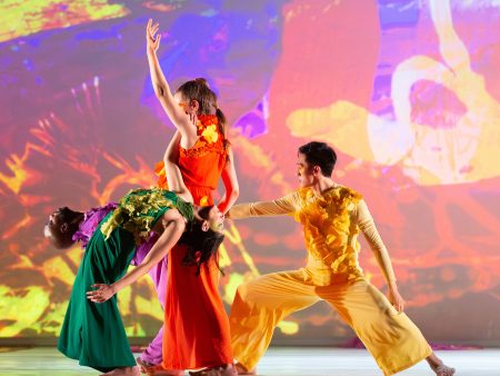 The Seldoms Dance Performance: An evening of dance inspired by the earth Sale