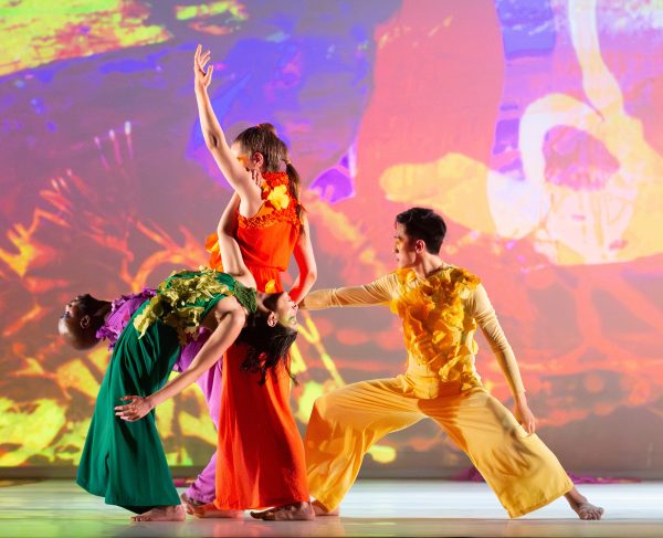 The Seldoms Dance Performance: An evening of dance inspired by the earth Sale