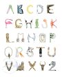 The Letter Nest Animal Alphabet Print Cheap