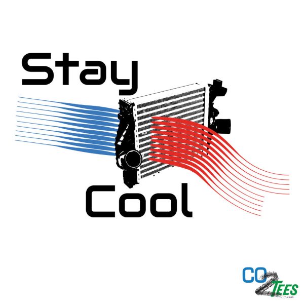 Stay Cool Unisex Classic T-Shirt Hot on Sale