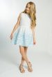 Clarissa Blue & White Dress Online Sale