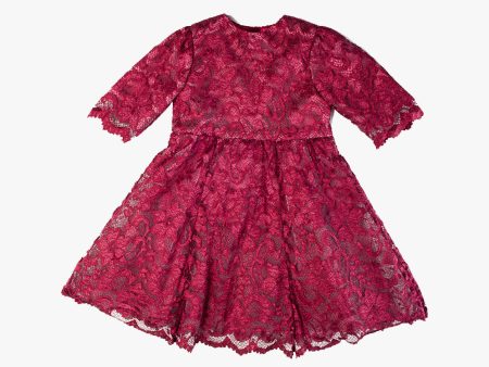 Burgundy Lace Cyra Dress Online Hot Sale