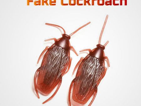 Fake Cockroach - Set of 2 Cheap